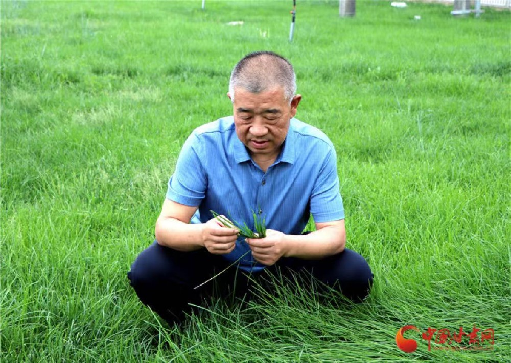 向“新”甘肅 民企力量（6）|甘肅前進(jìn)現(xiàn)代農(nóng)業(yè)發(fā)展集團(tuán)有限公司董事長(zhǎng)馬志祥：新征程上再前進(jìn) 全力打造西部奶都
